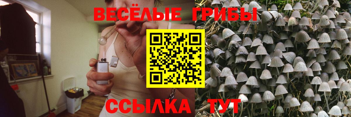 как найти закладки  Вход с VPN  Псилоцибиновые грибы Magic Shrooms  Похвистнево  Галлюциногенные грибы Psilocybine cubensis 